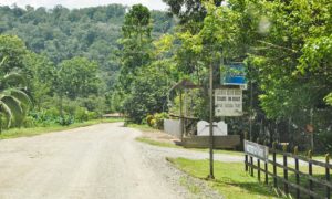 Construcción Ruta Nacional 245: Rincón - Puerto Jiménez - Grupo Santa Fe